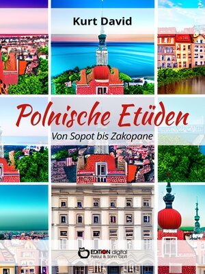 cover image of Polnische Etüden